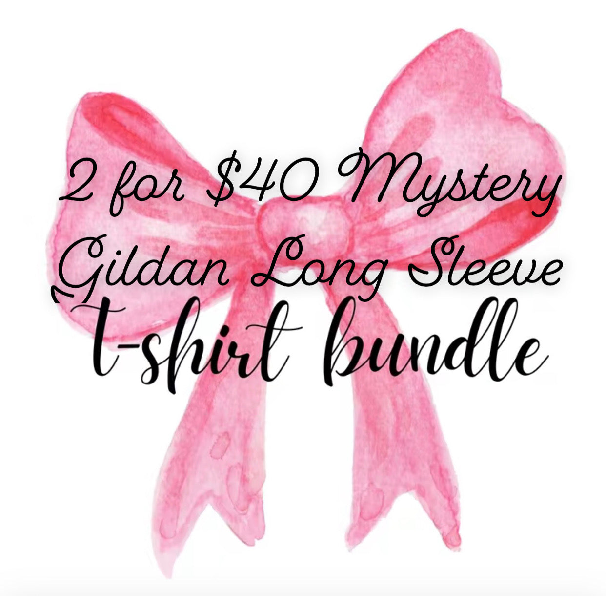 2 for $40 Mystery Gildan Long Sleeve