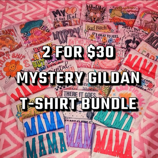 2 for $30 Mystery Gildan