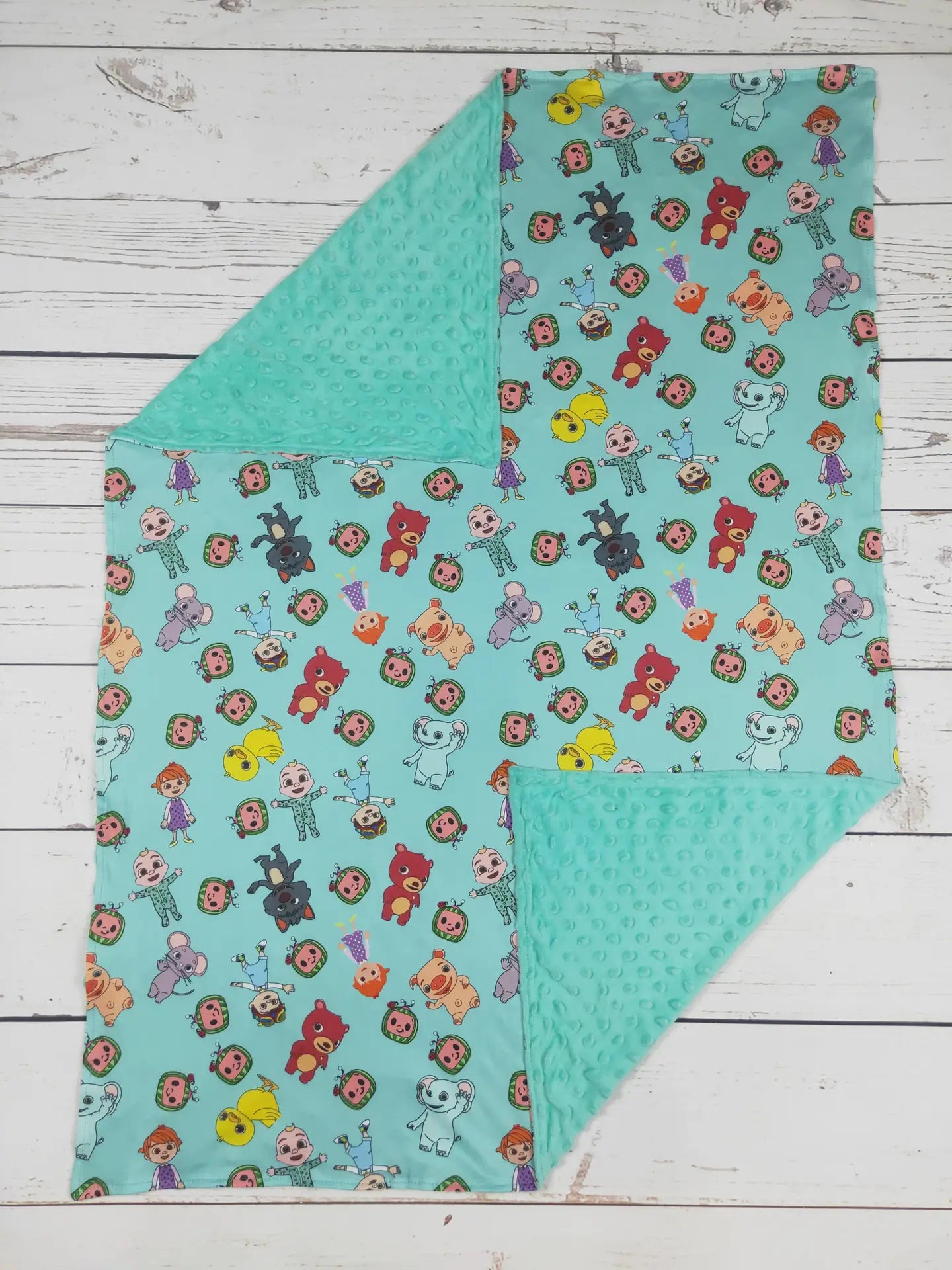 Boy Minky Blankets